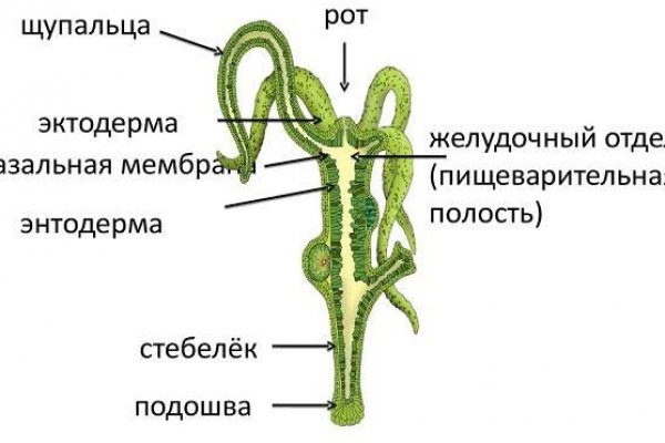 Сайт блэк спрут отзывы