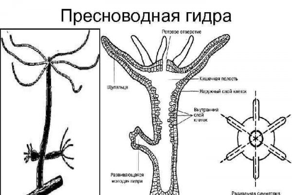 Просит 2fa код на blacksprut что делать